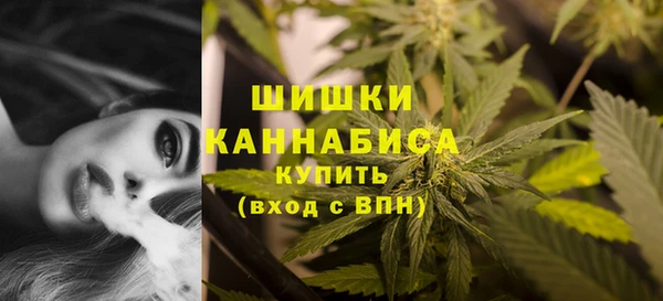 гашик Горняк