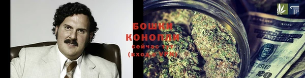 гашик Горняк