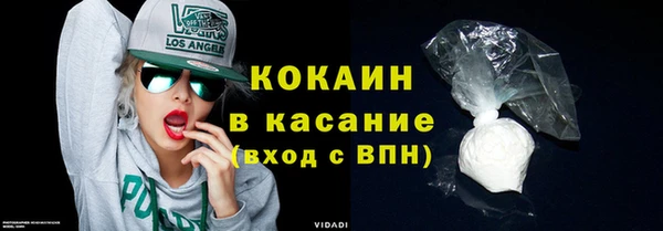 гашик Горняк