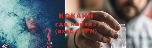 гашик Горняк