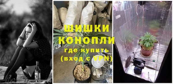 гашик Горняк
