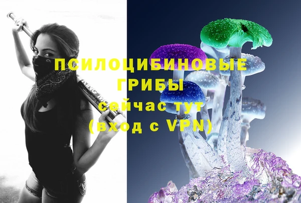 хмурый Горно-Алтайск