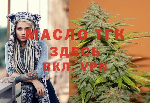 гашик Горняк