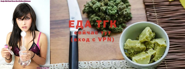 гашик Горняк