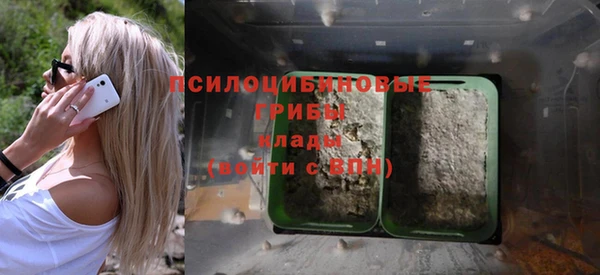 гашик Горняк